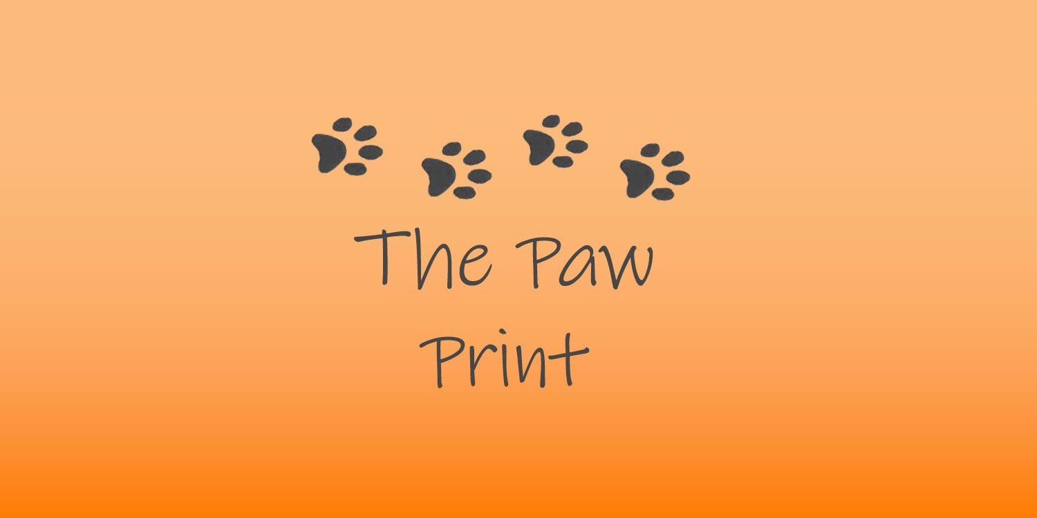 Logo with four paw prints and the text "The Paw Print".